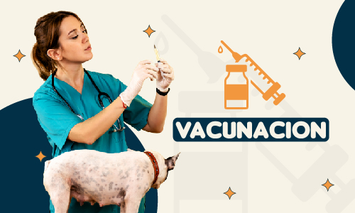 Vacunación